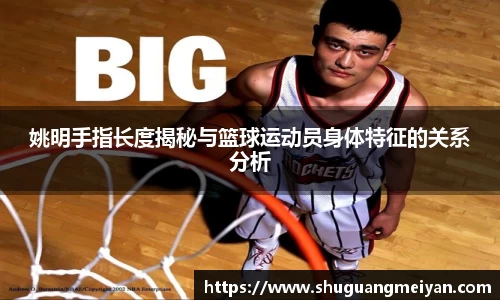 1xBET网址