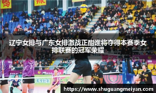 辽宁女排与广东女排激战正酣谁将夺得本赛季女排联赛的冠军荣耀
